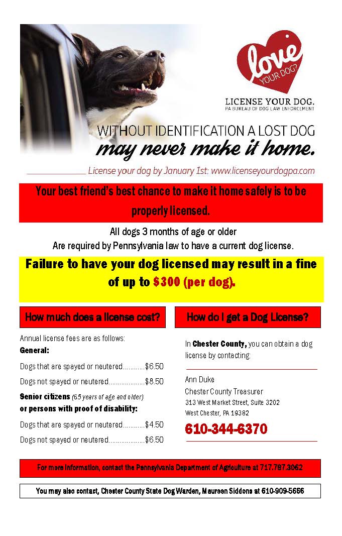 dog license information