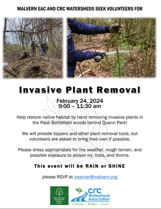 plant removal flyer