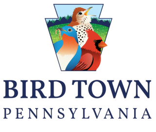Bird Town 