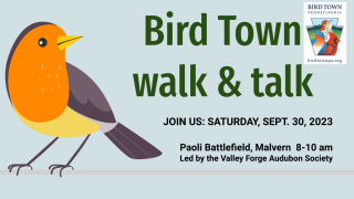 Bird Town Walk & Talk