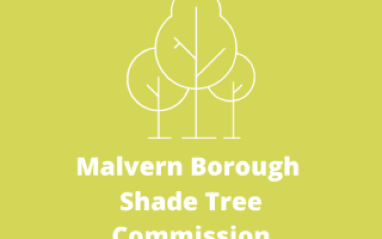 Shade Tree Commission