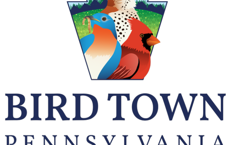 Bird Town 