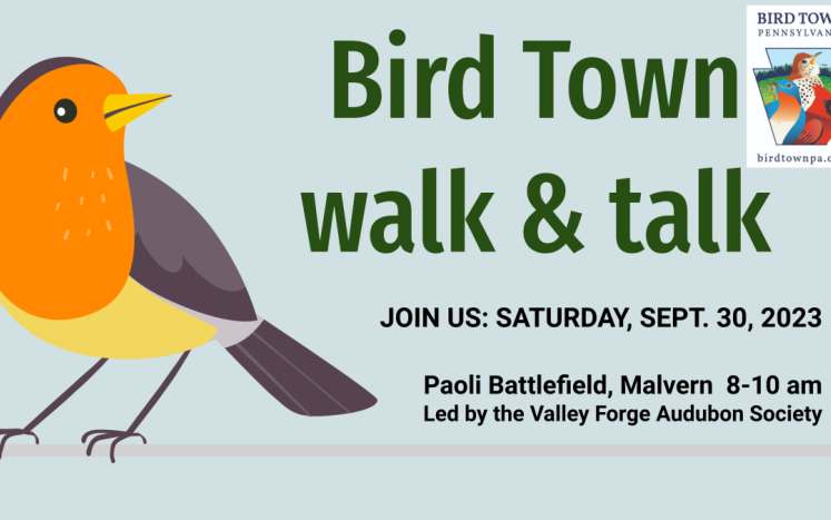 Bird Town Walk & Talk