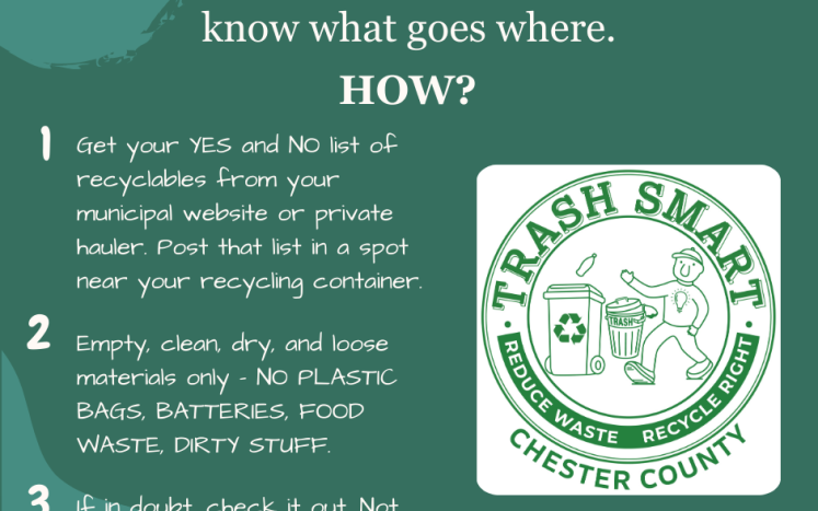 Happy New Year! Let's Resolve to be Trash Smart!